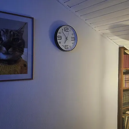 Apartman 