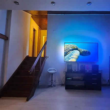 Apartment Spacious & Comfortable 